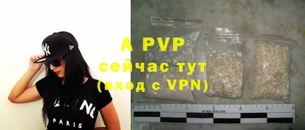 apvp Кирсанов