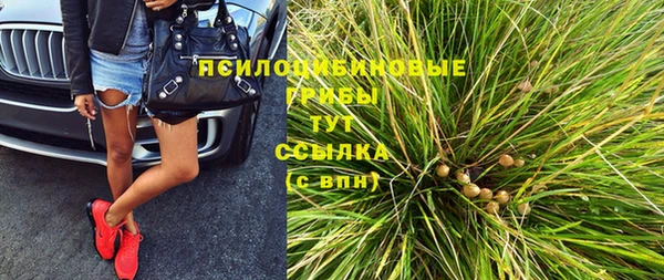 a pvp Кедровый