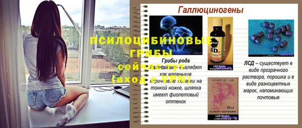 бошки Сафоново