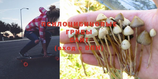 ПСИЛОЦИБИНОВЫЕ ГРИБЫ Кирс