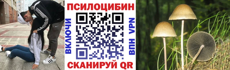 Псилоцибиновые грибы Psilocybe  наркотики  Усолье 